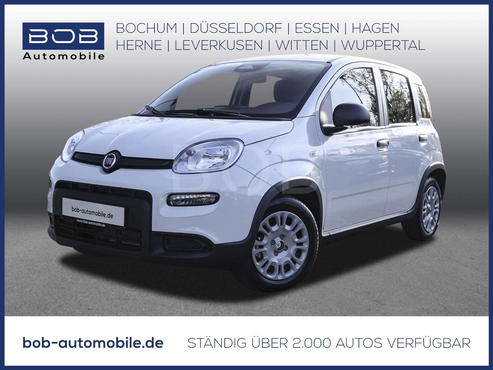 Fahrzeugbild eines Fiat Panda