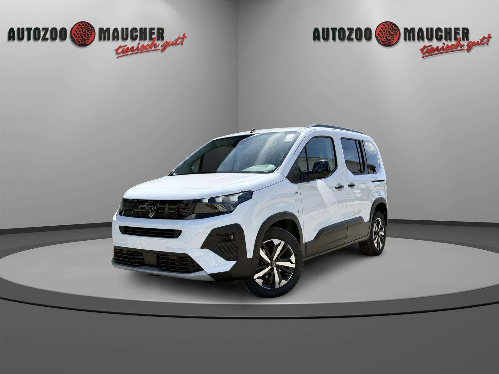 Fahrzeugbild eines Peugeot Rifter