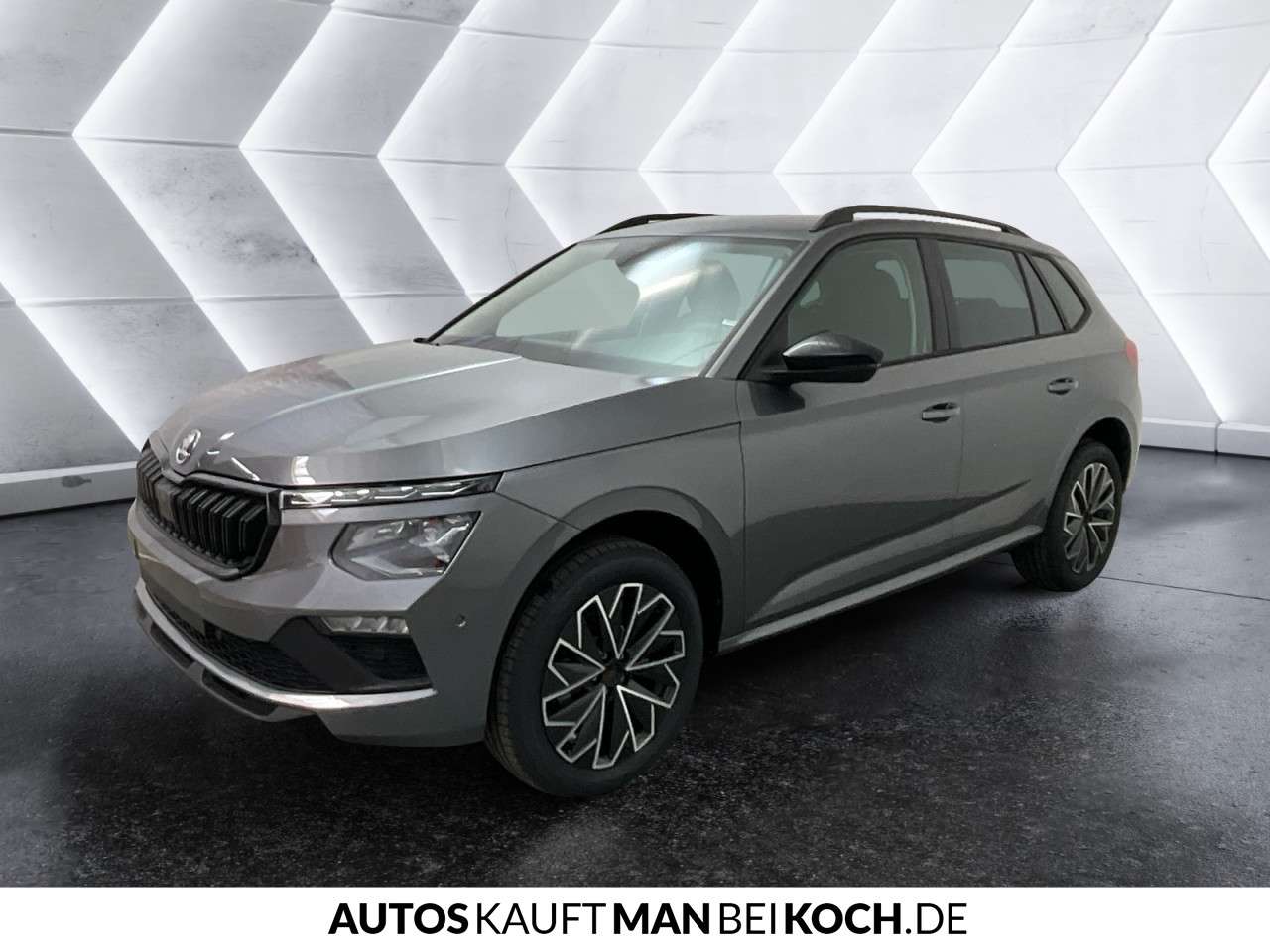 Fahrzeugbild eines Skoda Kamiq