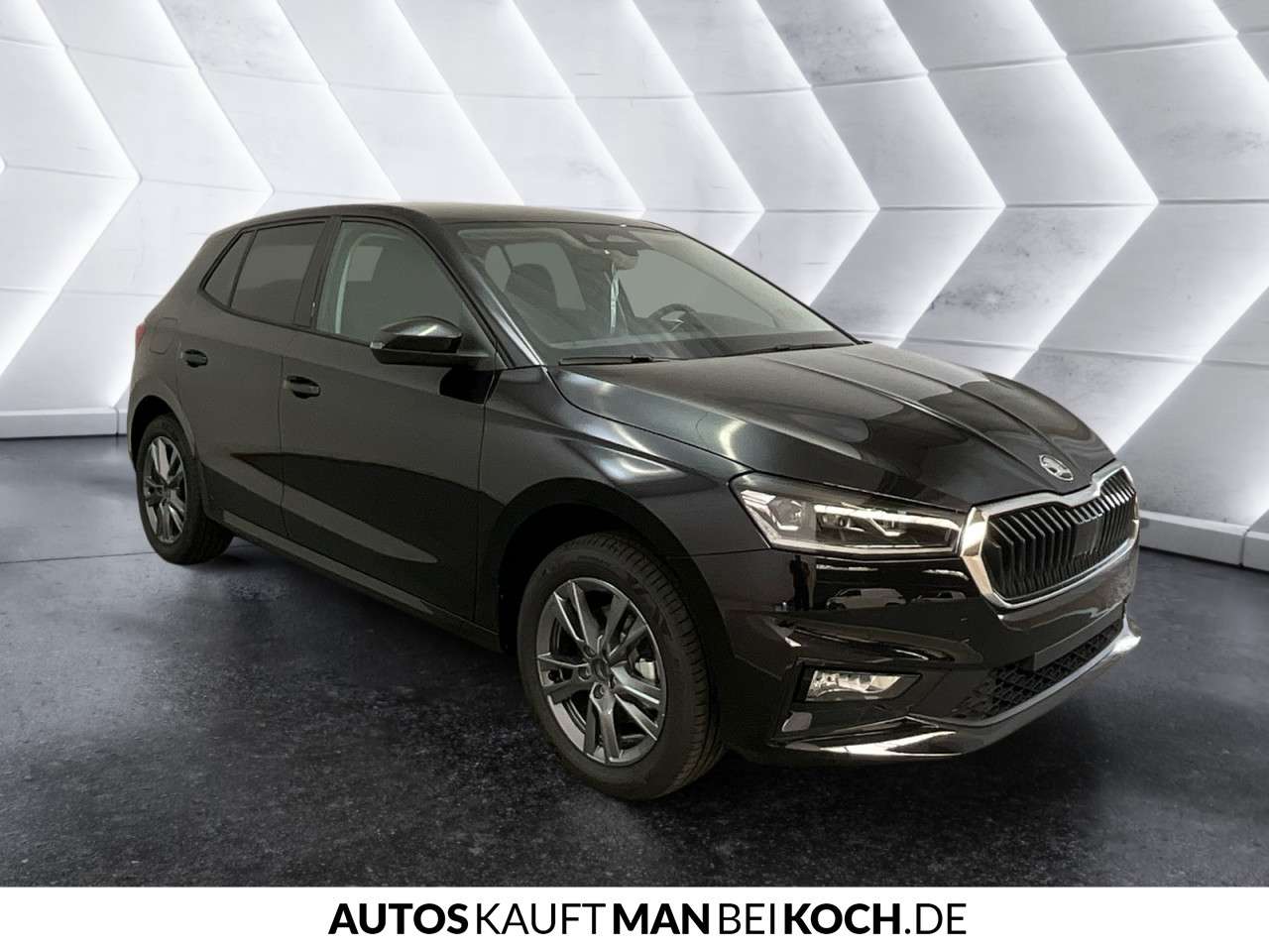Fahrzeugbild eines Skoda Fabia
