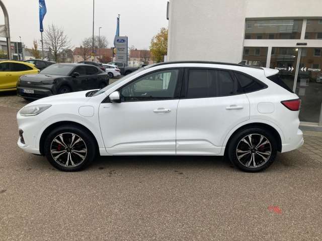 Fahrzeugbild eines Ford Kuga
