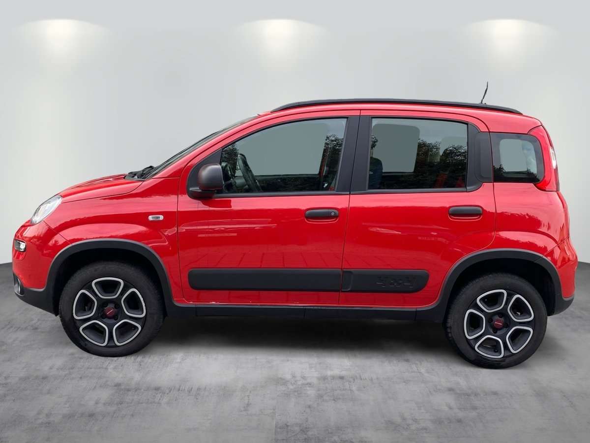 Fahrzeugbild eines Fiat Panda