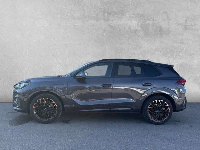 Fahrzeugbild eines CUPRA Terramar