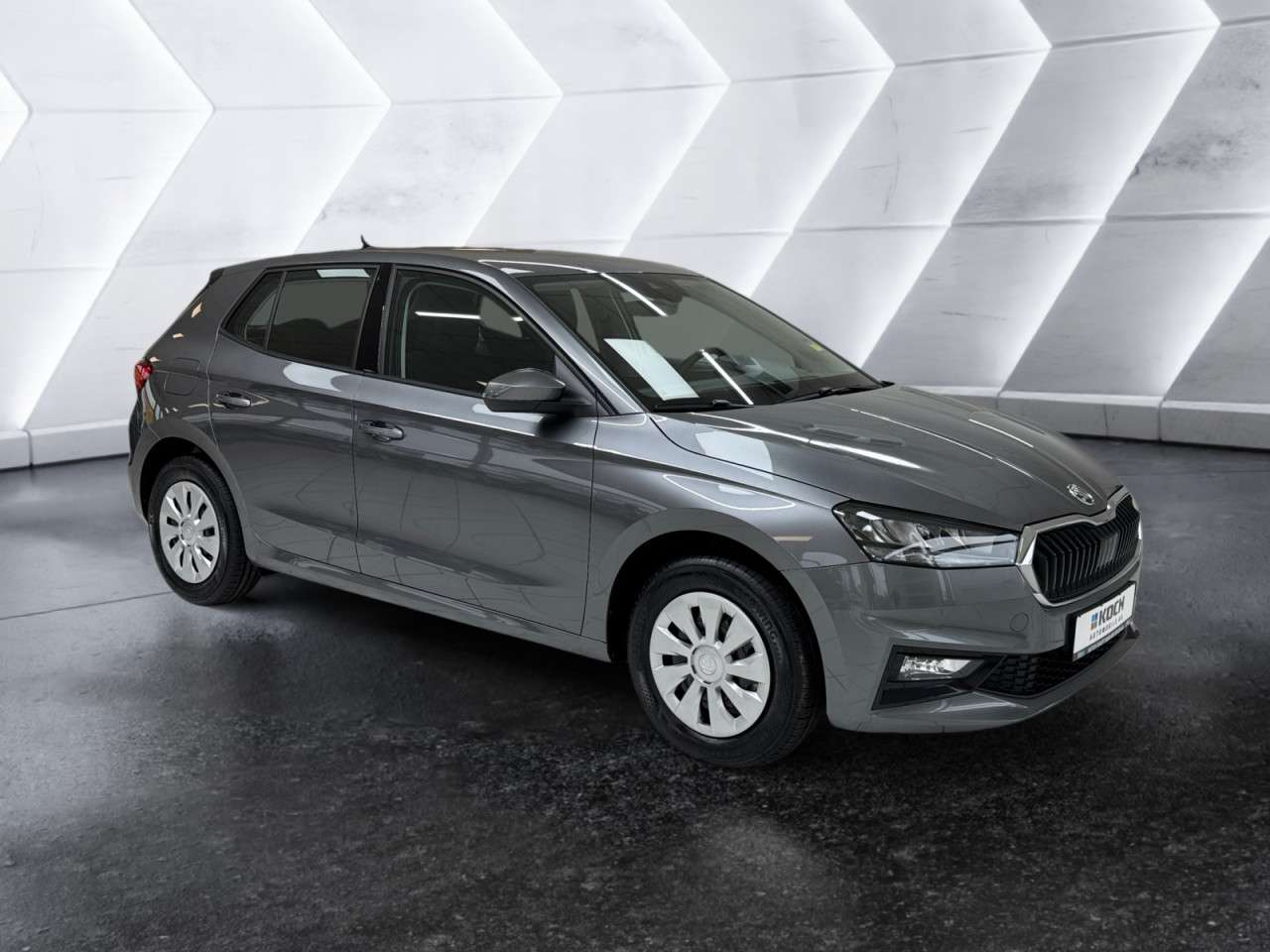 Fahrzeugbild eines Skoda Fabia