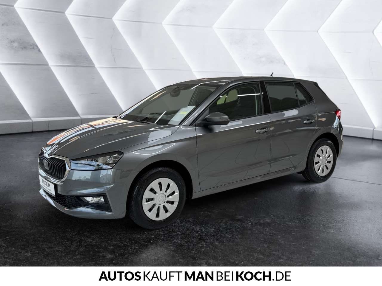 Fahrzeugbild eines Skoda Fabia