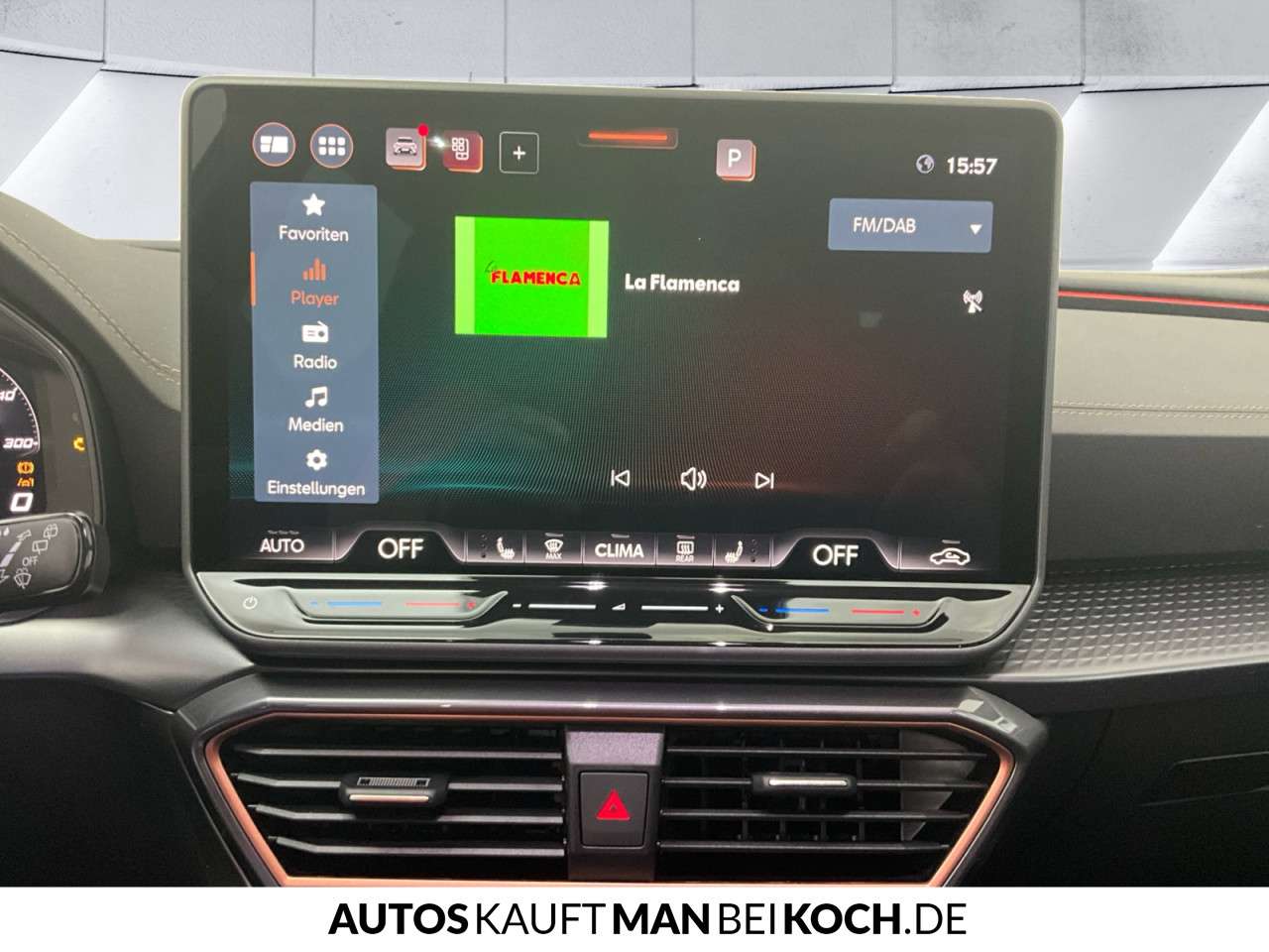 Fahrzeugbild eines CUPRA Formentor