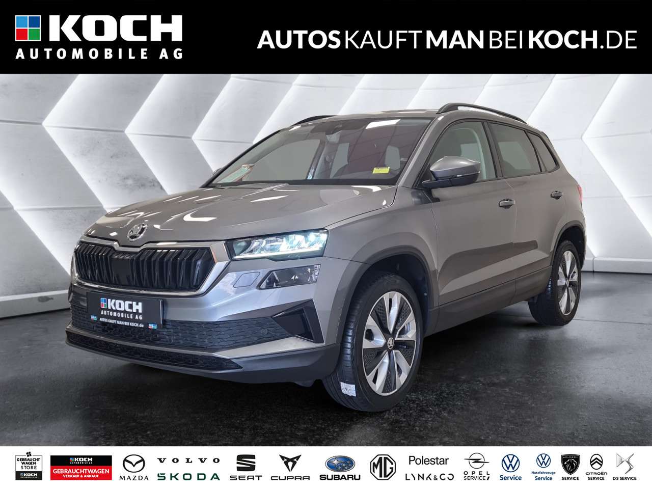 Fahrzeugbild eines Skoda Karoq