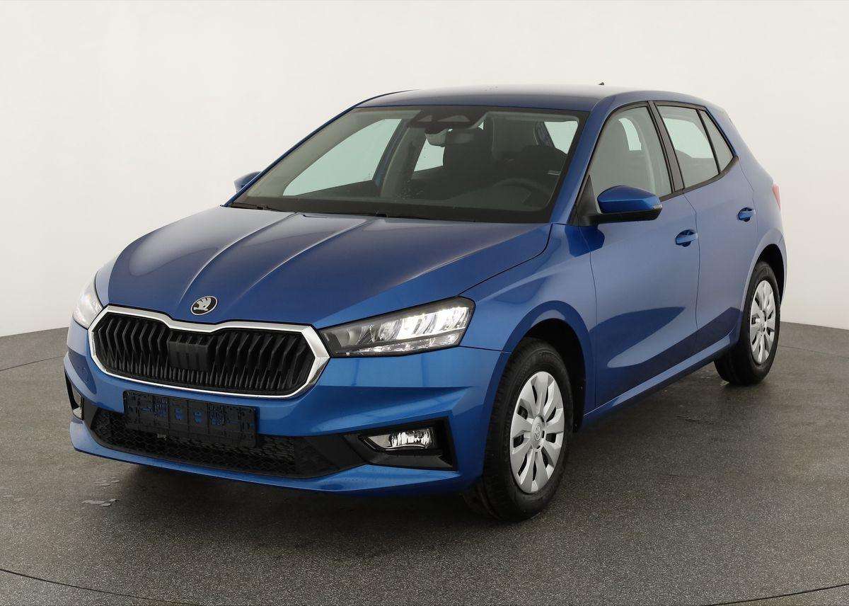 Fahrzeugbild eines Skoda Fabia