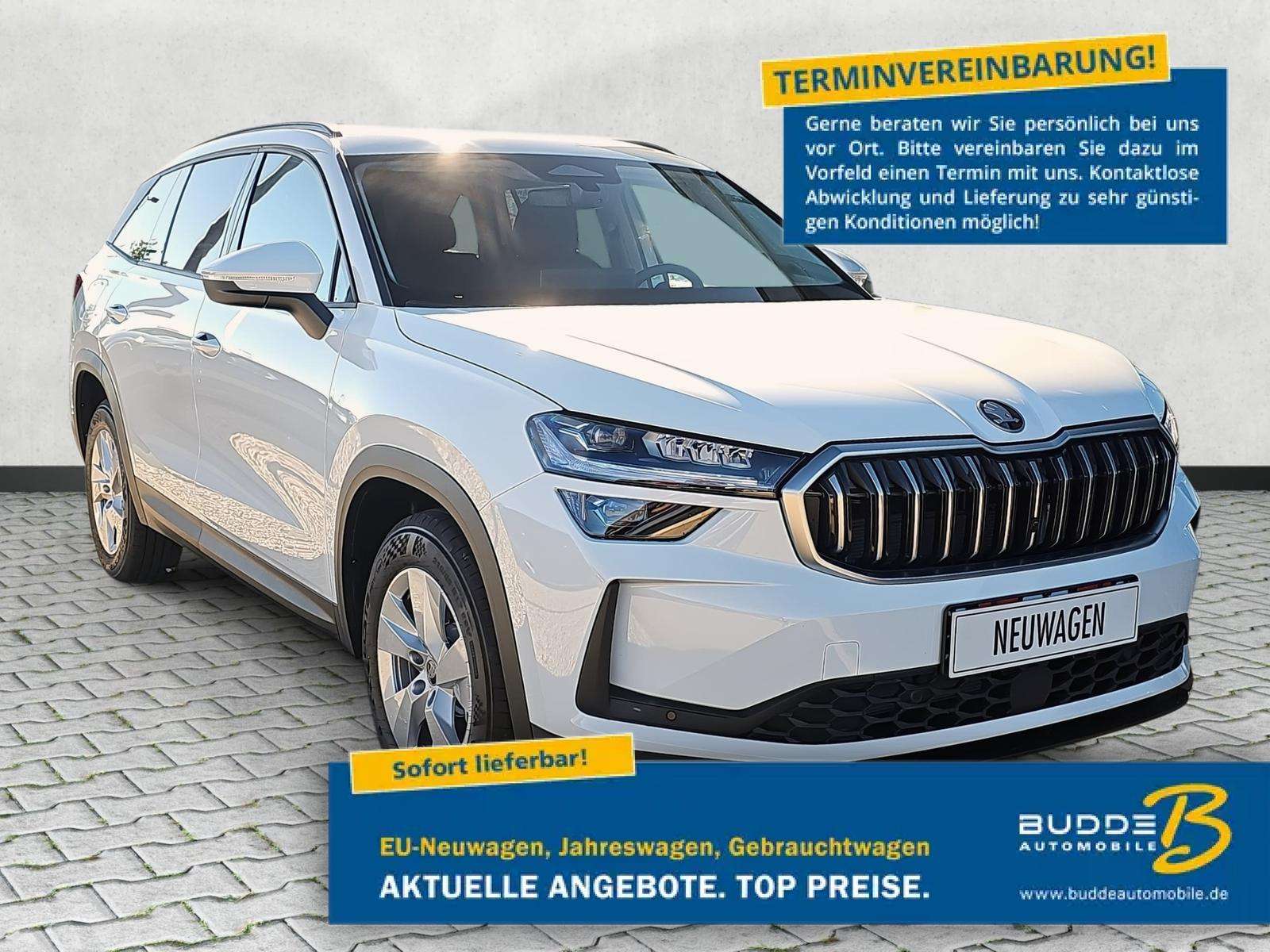 Fahrzeugbild eines Skoda Kodiaq