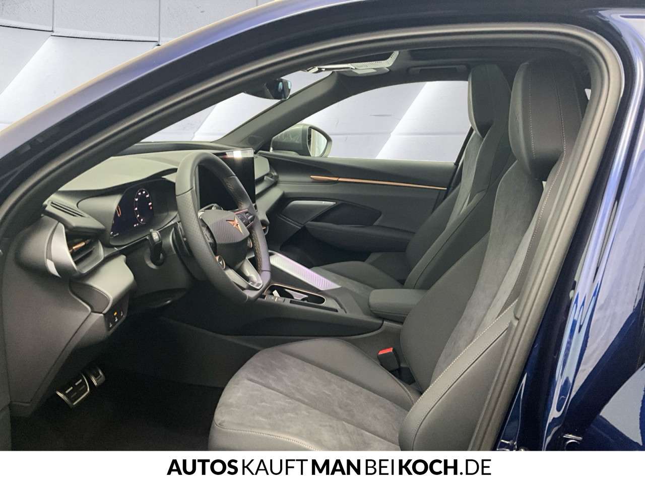 Fahrzeugbild eines CUPRA Terramar