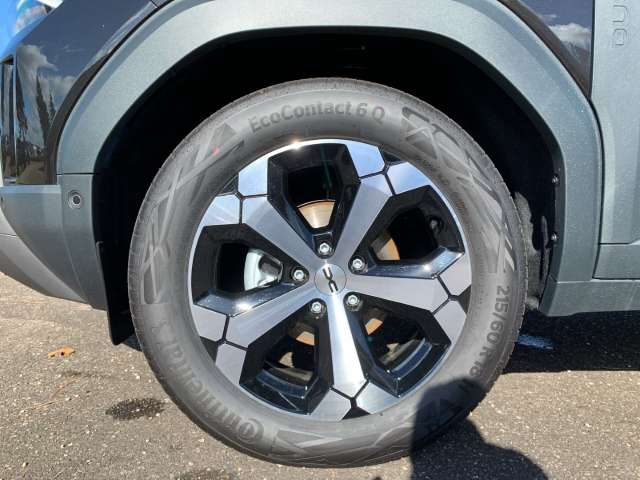 Fahrzeugbild eines Dacia Duster