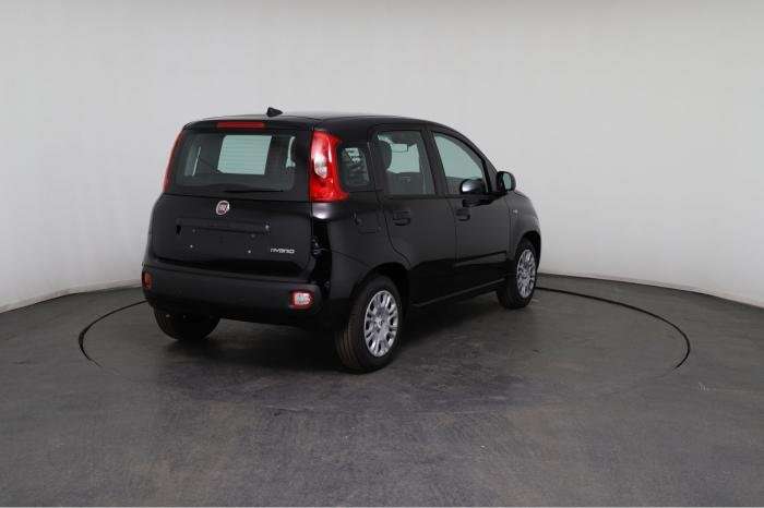 Fahrzeugbild eines Fiat Panda