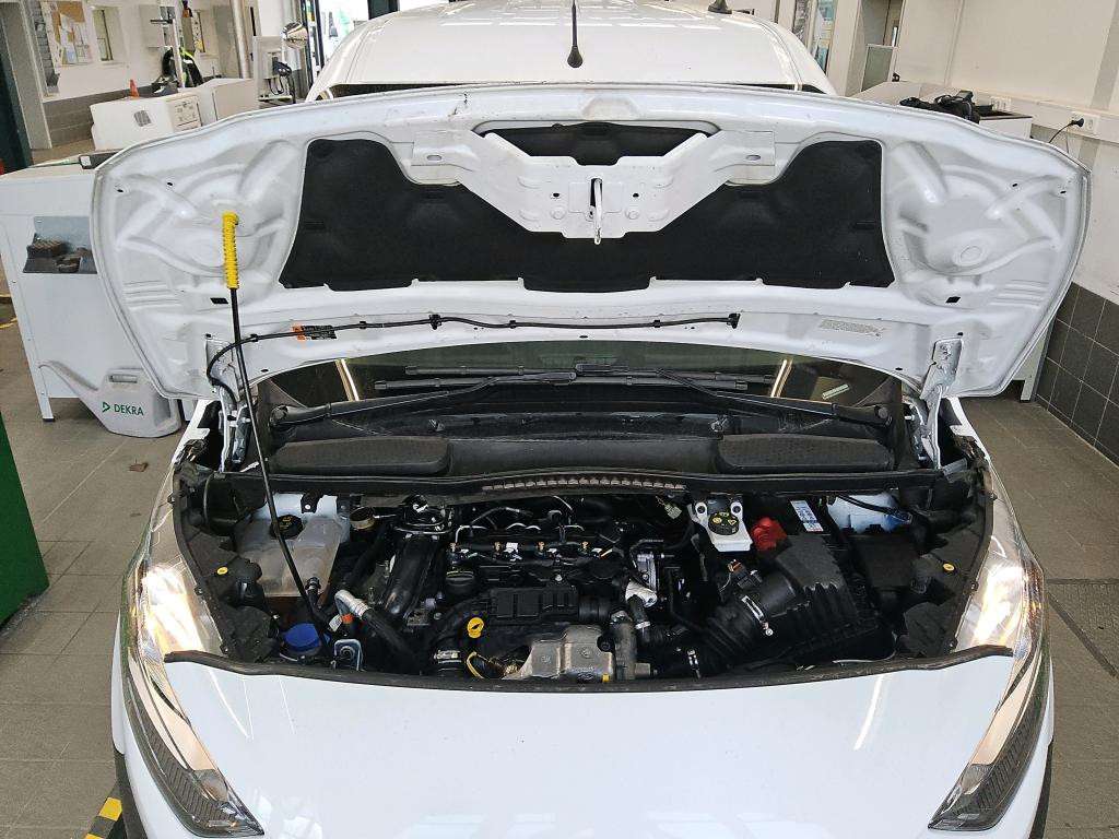 Fahrzeugbild eines Ford Transit Connect