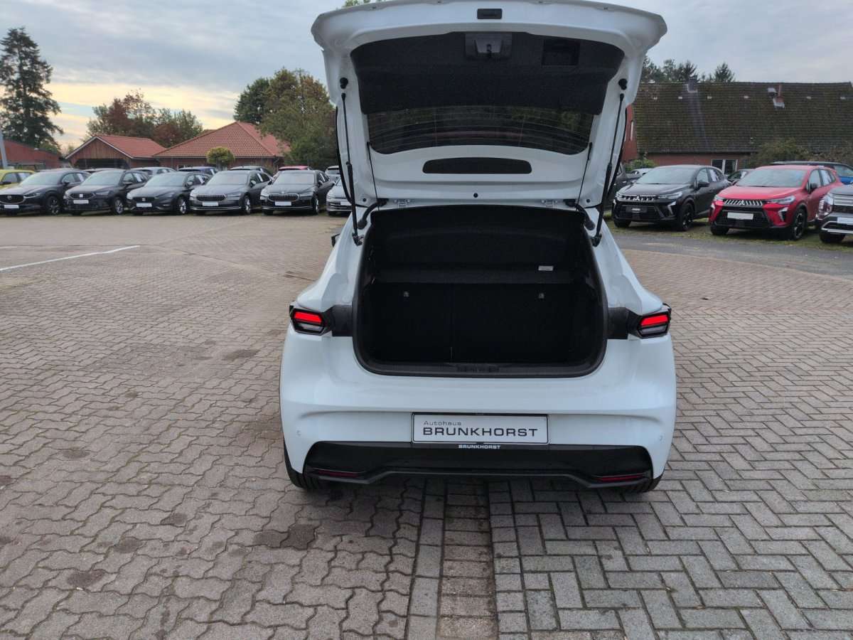Fahrzeugbild eines Renault Clio