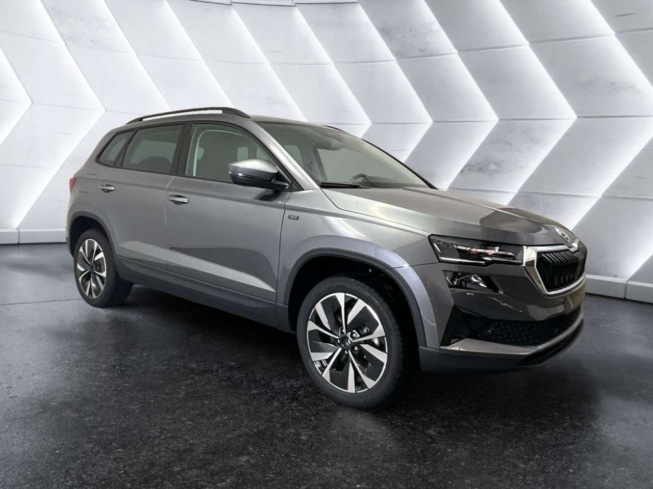 Fahrzeugbild eines Skoda Karoq
