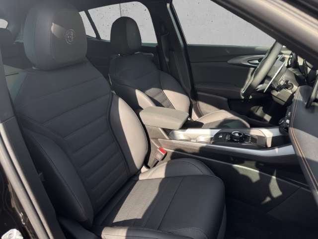 Fahrzeugbild eines Alfa Romeo Tonale