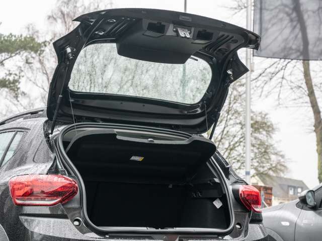 Fahrzeugbild eines Dacia Sandero