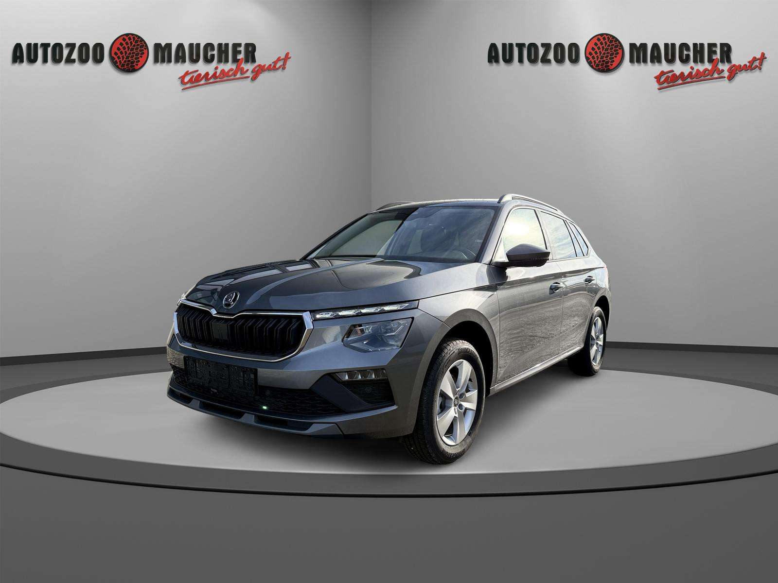 Fahrzeugbild eines Skoda Kamiq