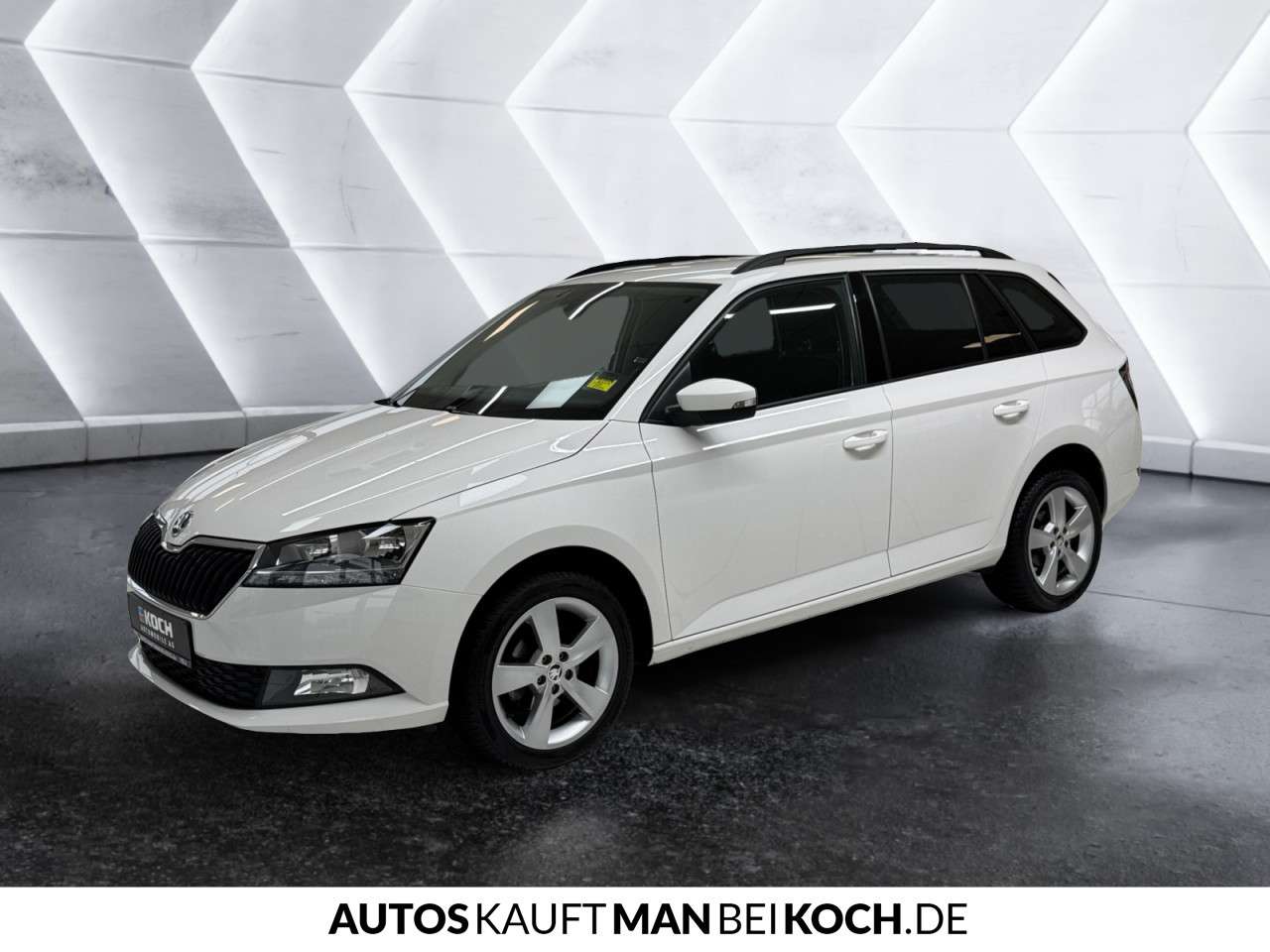Fahrzeugbild eines Skoda Fabia