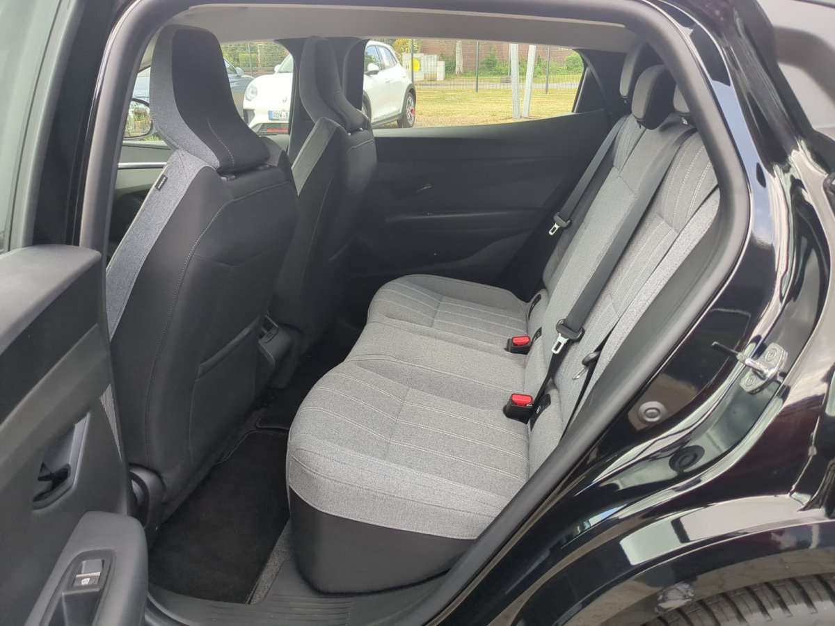 Fahrzeugbild eines Renault Mégane