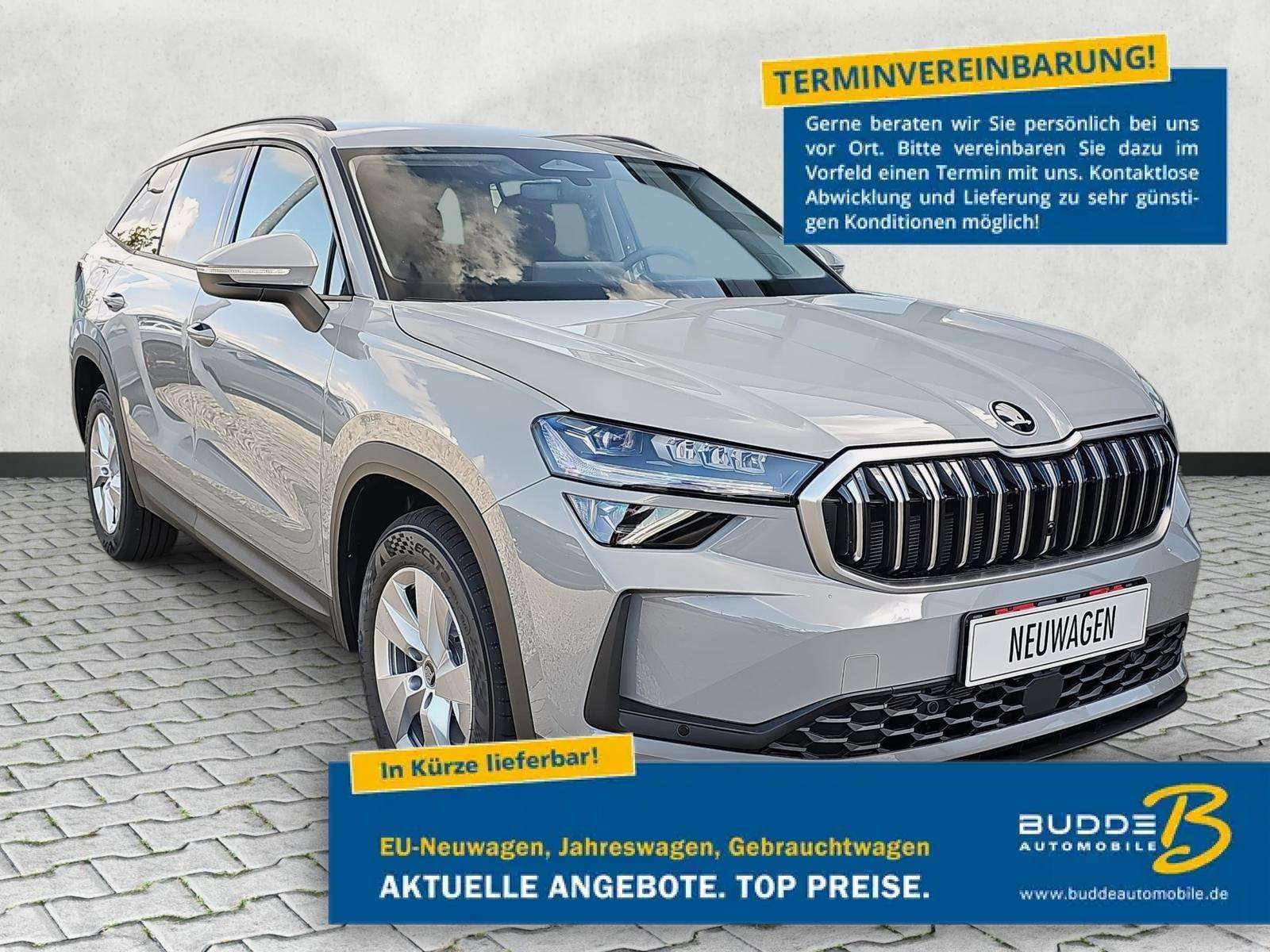 Fahrzeugbild eines Skoda Kodiaq