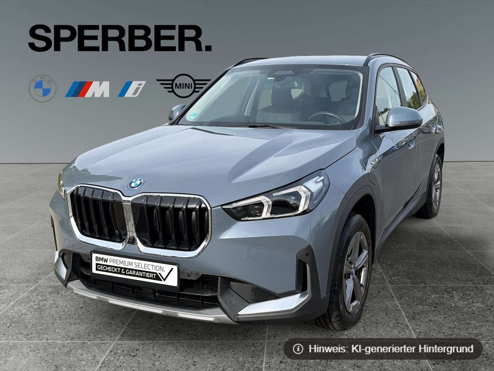 Fahrzeugbild eines BMW X1