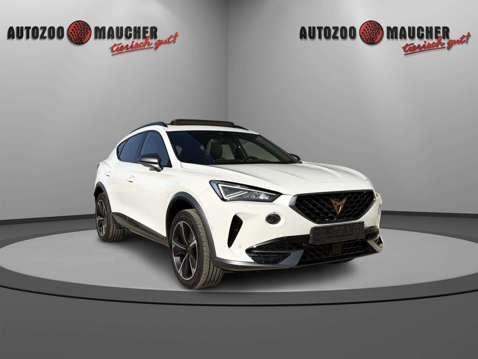 Fahrzeugbild eines CUPRA Formentor