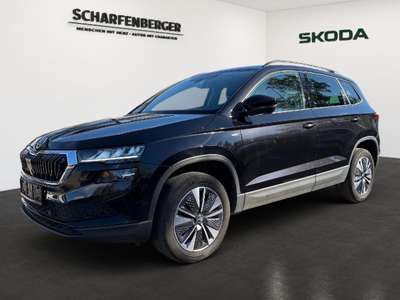 Bild Skoda Karoq