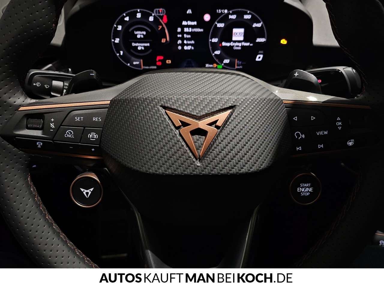 Fahrzeugbild eines CUPRA Terramar