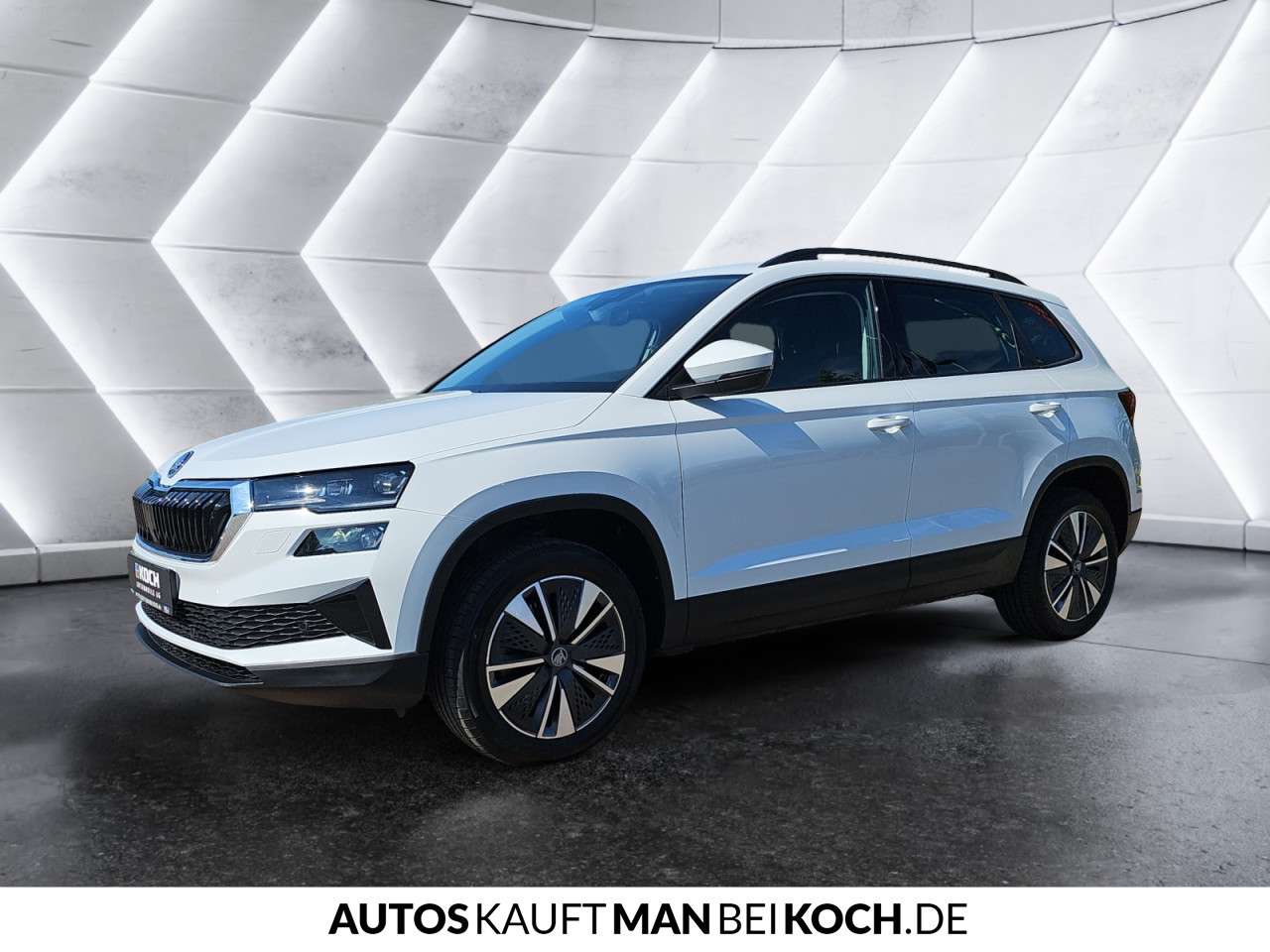 Fahrzeugbild eines Skoda Karoq