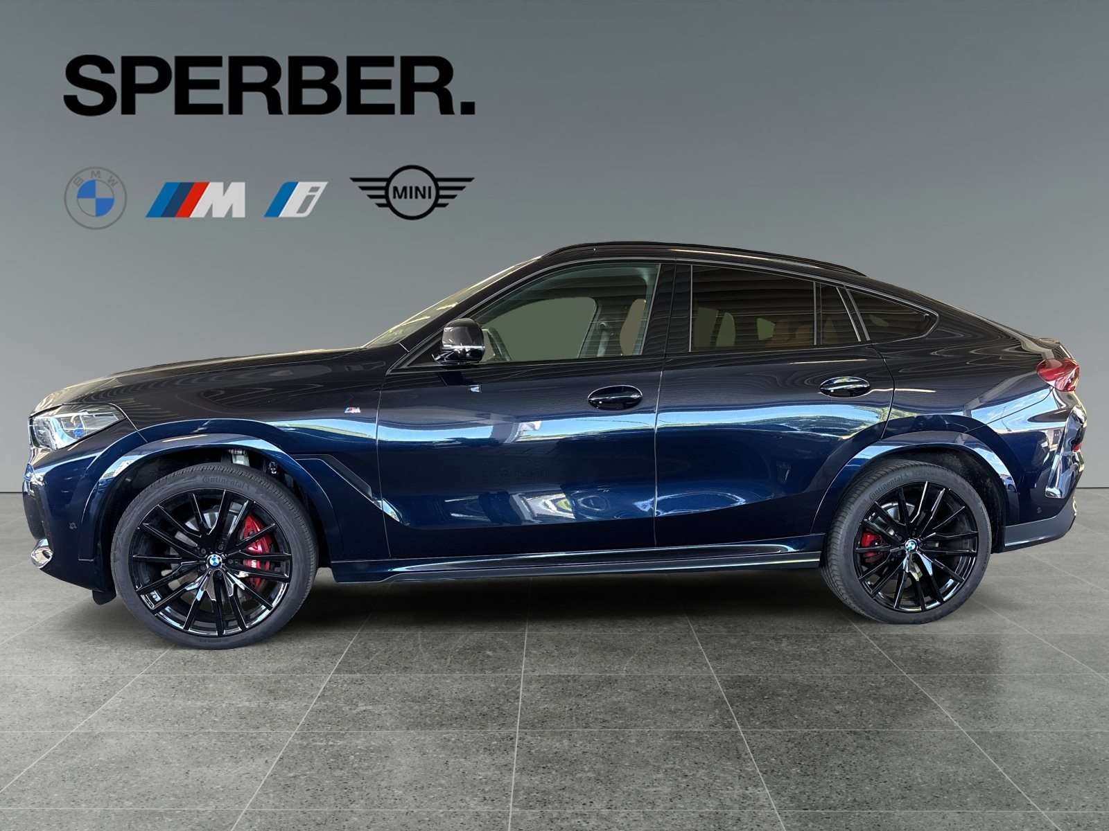 Fahrzeugbild eines BMW X6