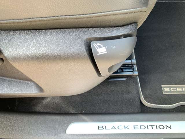 Fahrzeugbild eines Renault Grand Scénic