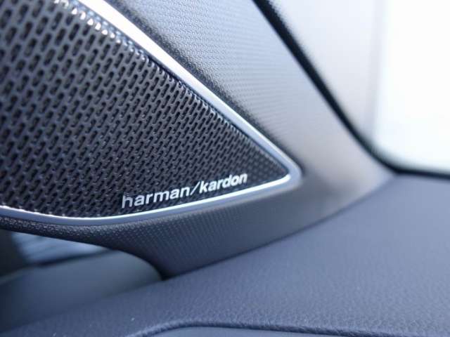 Fahrzeugbild eines Volkswagen Golf