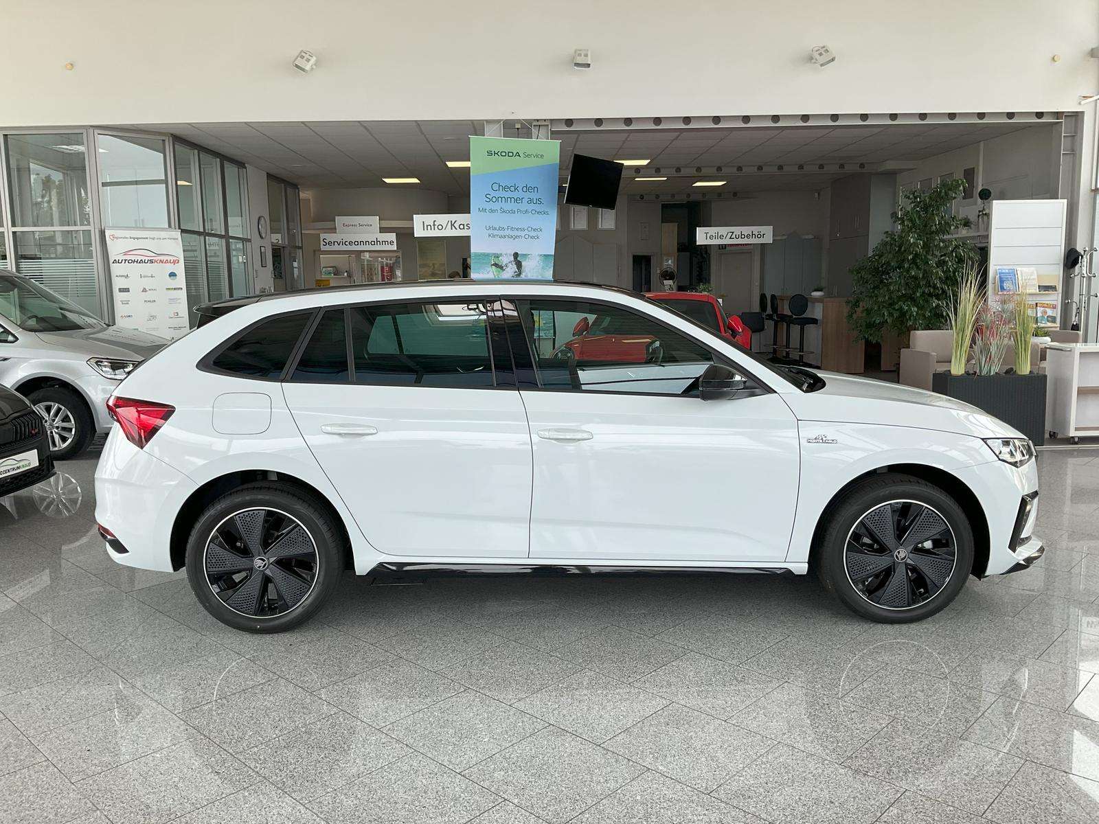Fahrzeugbild eines Skoda Scala