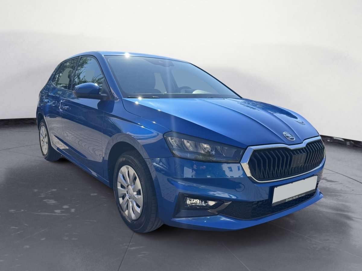 Fahrzeugbild eines Skoda Fabia