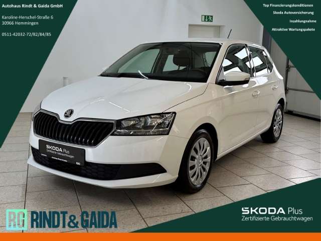 Fahrzeugbild eines Skoda Fabia