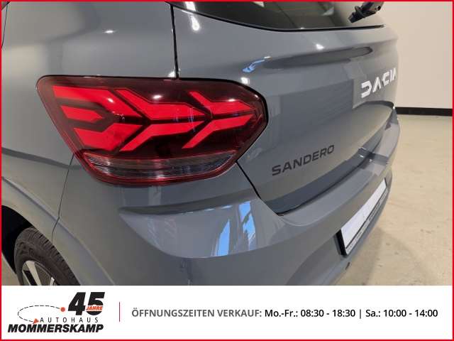 Fahrzeugbild eines Dacia Sandero