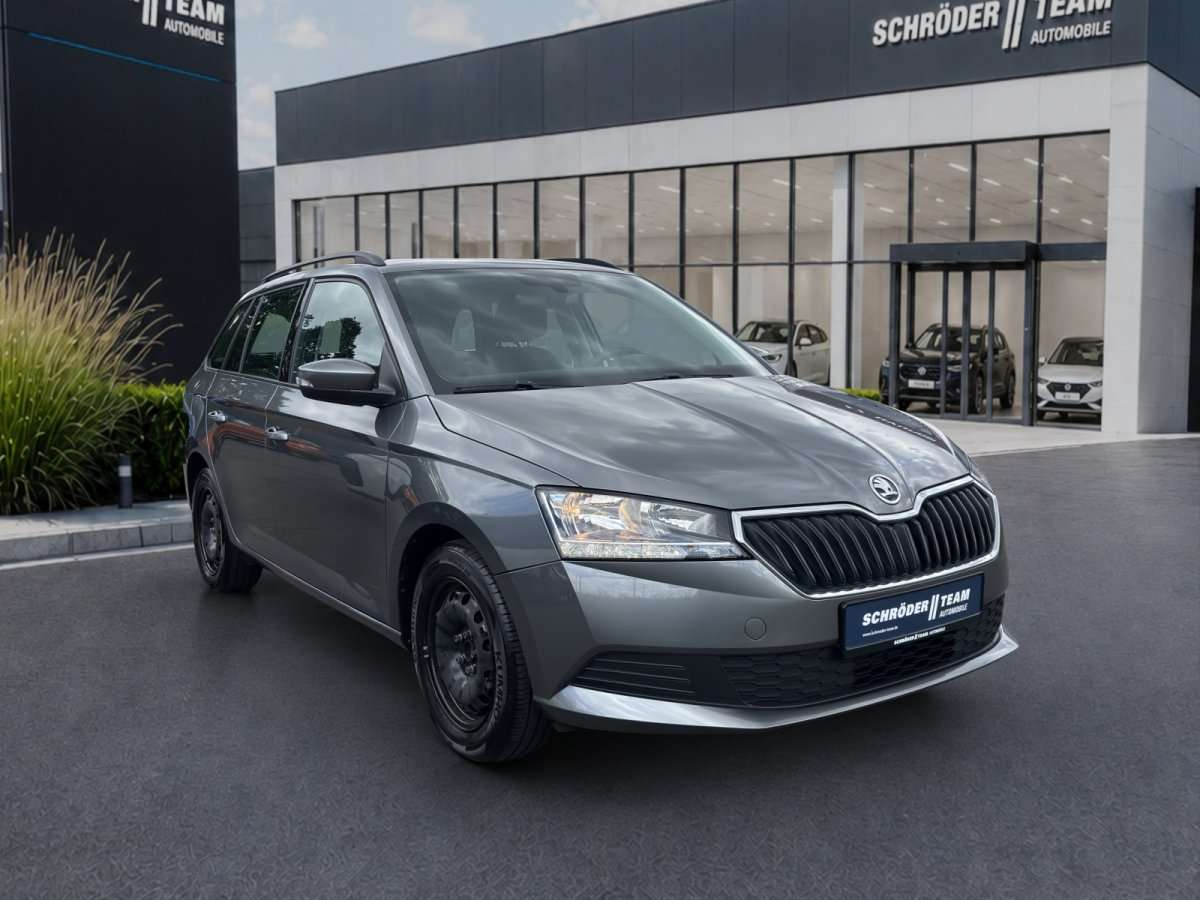 Fahrzeugbild eines Skoda Fabia