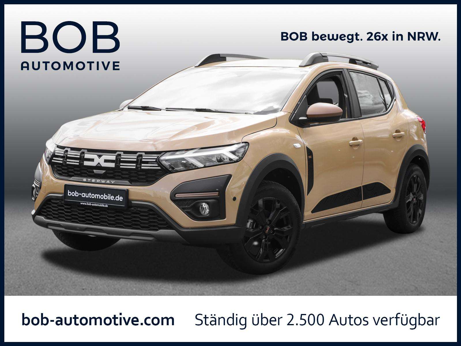 Fahrzeugbild eines Dacia Sandero