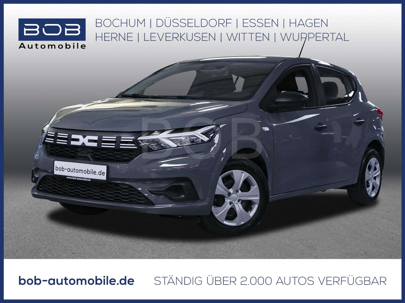 Fahrzeugbild eines Dacia Sandero