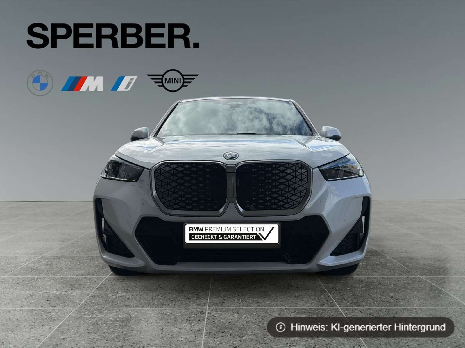 Fahrzeugbild eines BMW iX1