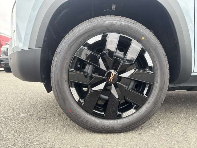 Fahrzeugbild eines Dacia Spring