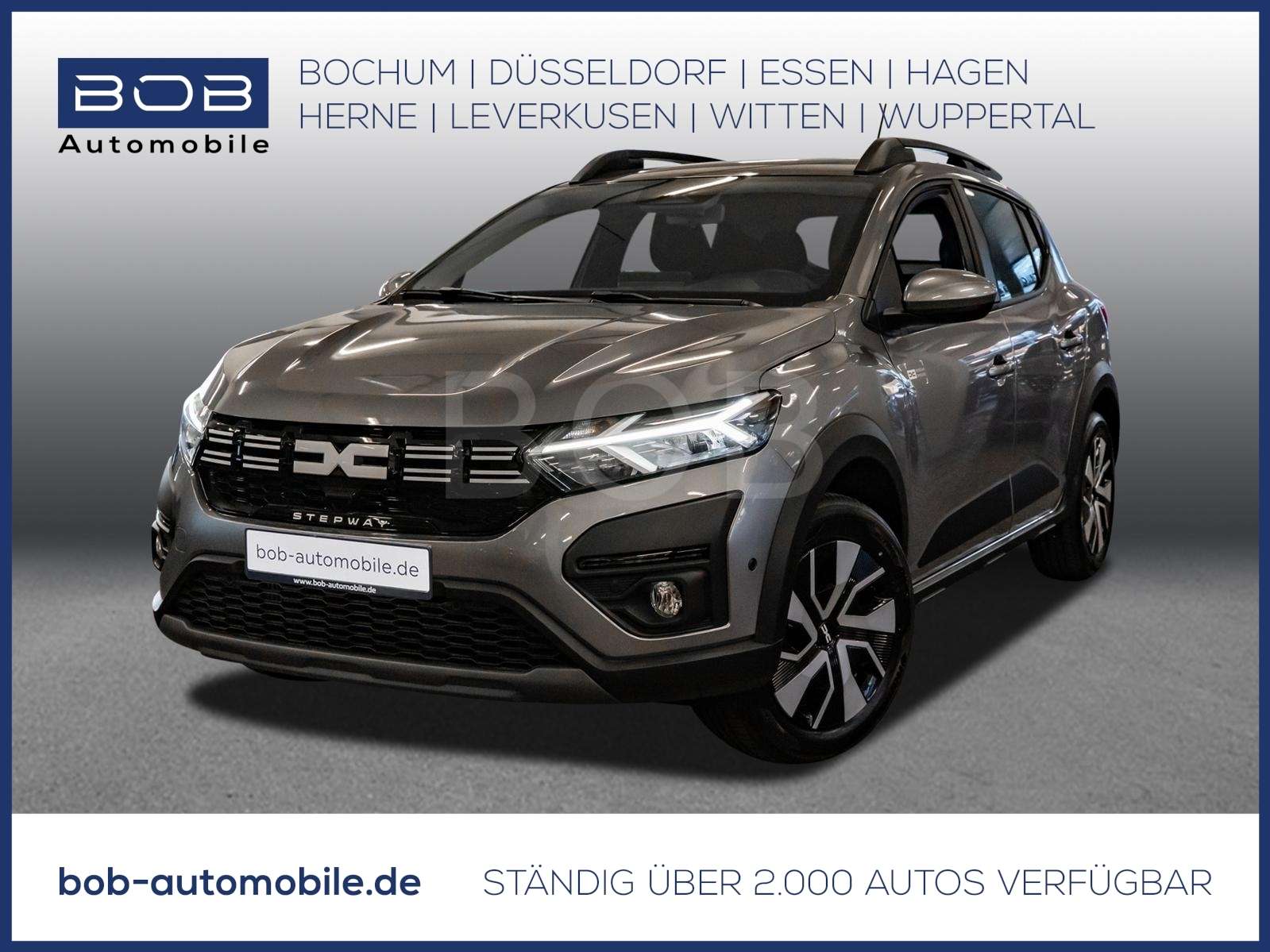 Fahrzeugbild eines Dacia Sandero