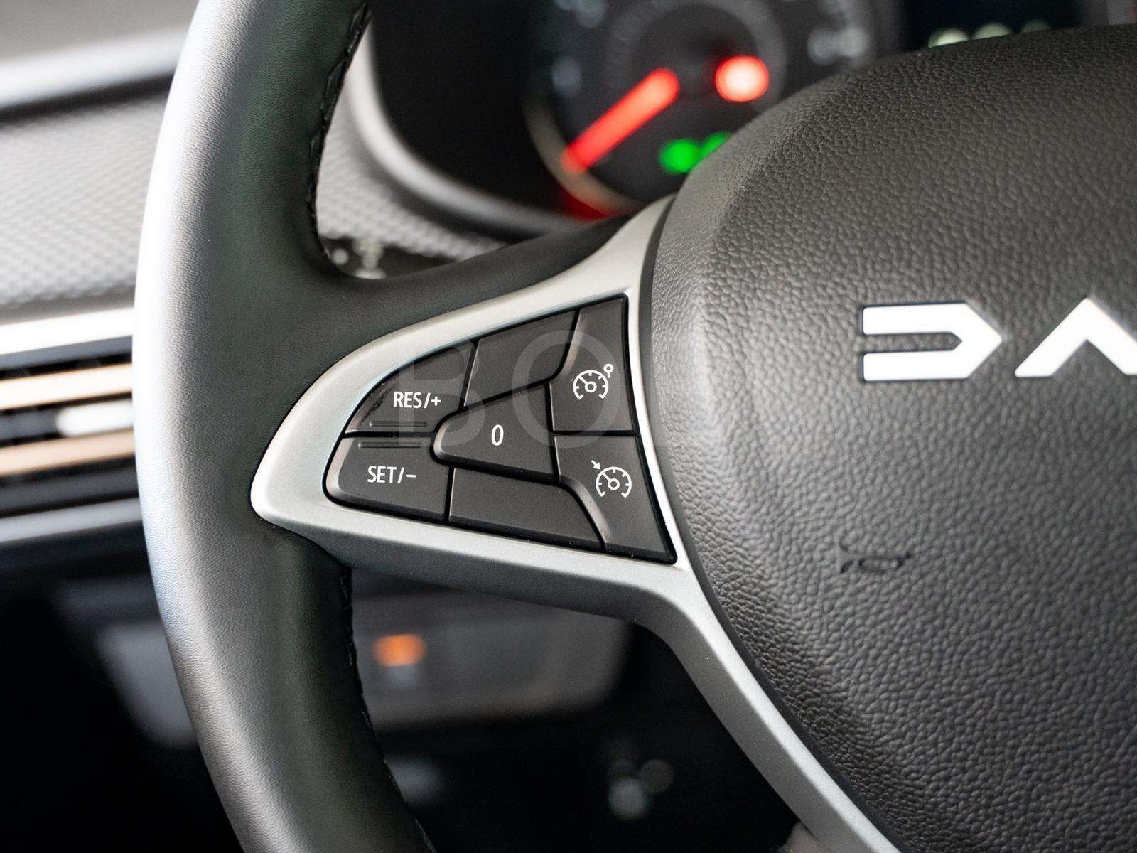 Fahrzeugbild eines Dacia Sandero