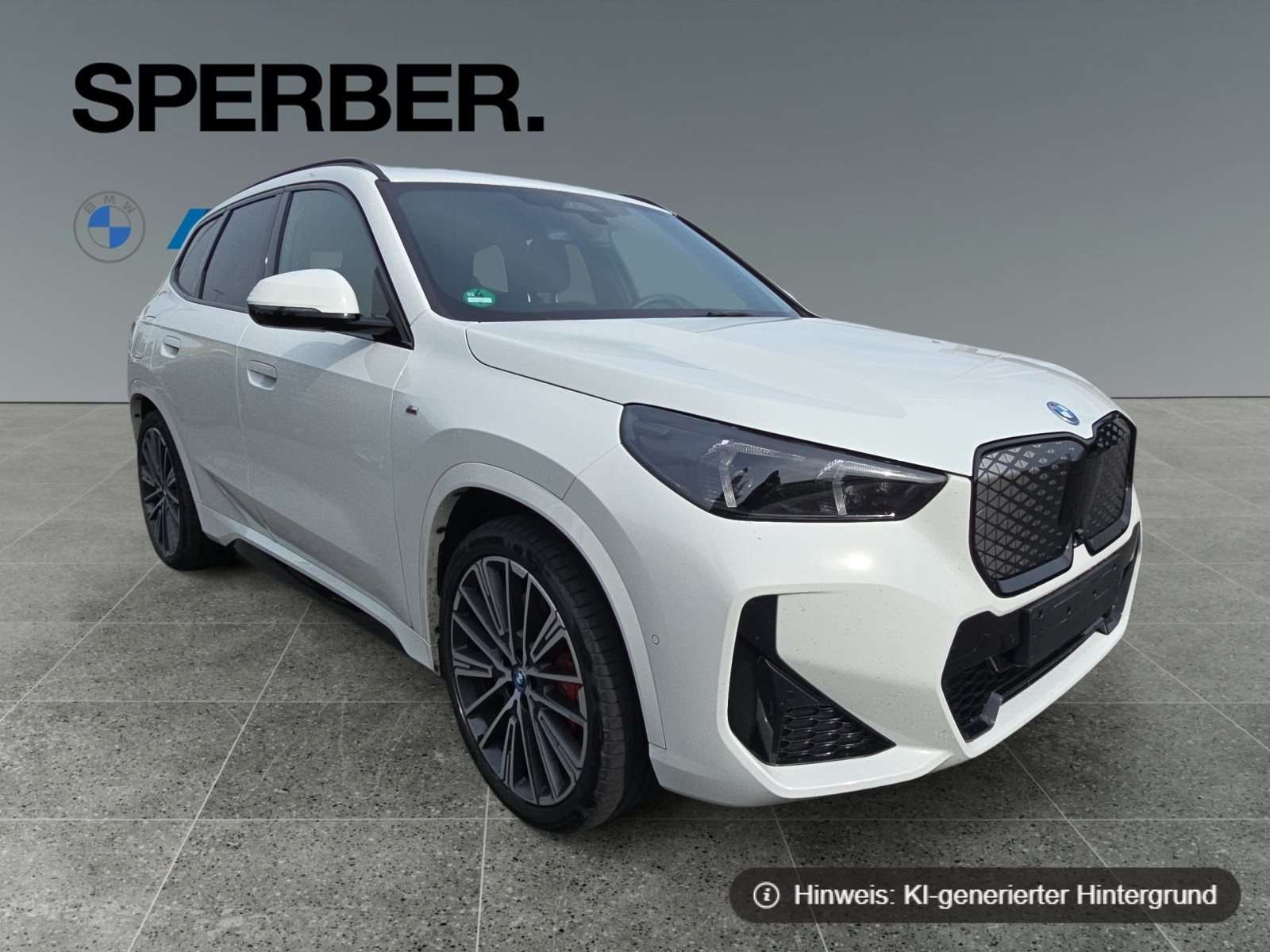 Fahrzeugbild eines BMW iX1