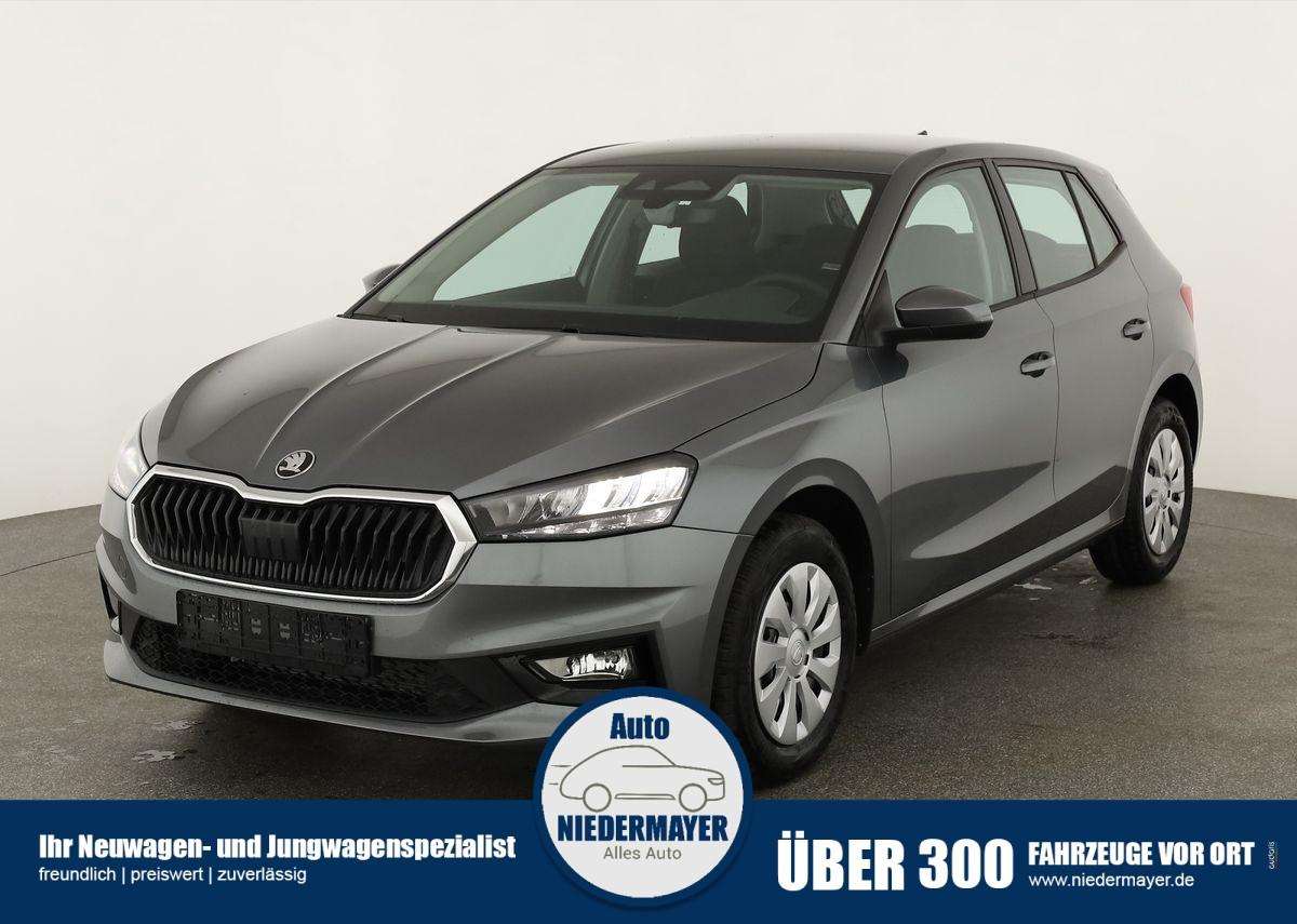 Fahrzeugbild eines Skoda Fabia