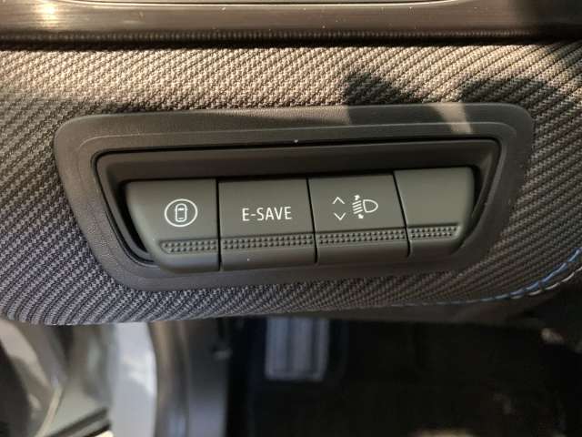 Fahrzeugbild eines Renault Symbioz