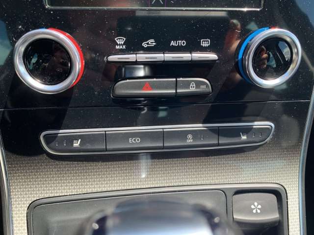 Fahrzeugbild eines Renault Grand Scénic