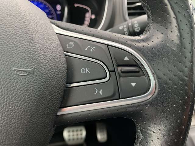 Fahrzeugbild eines Renault Grand Scénic