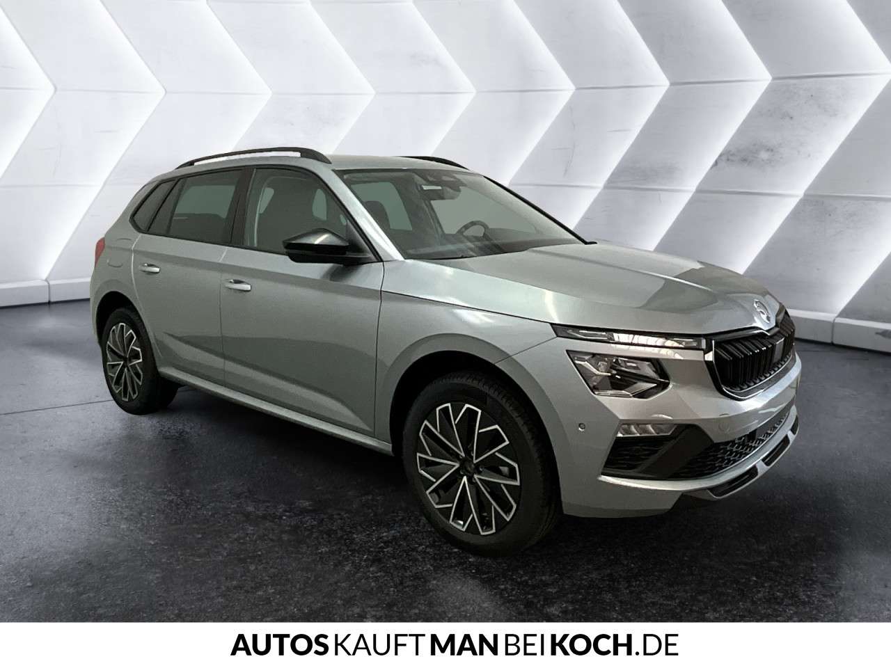 Fahrzeugbild eines Skoda Kamiq
